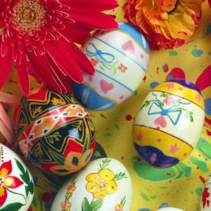 Meet your Posher, Jiyoung